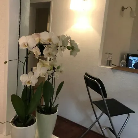 Julie's Centre Apartment *